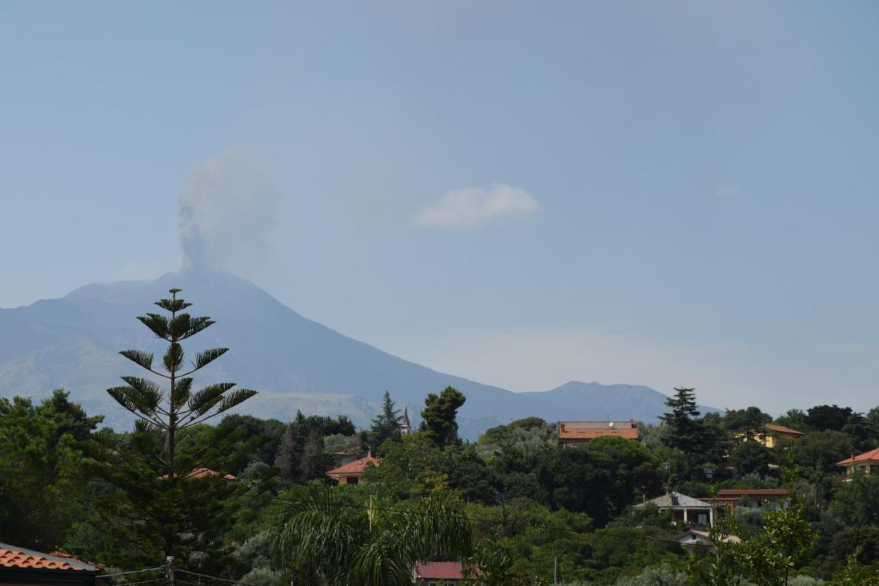 La Quintecita Villa Con Piscina Privata - Vicino Catania E Etna San Giovanni La Punta Dış mekan fotoğraf
